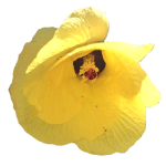08-15