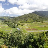 Hanapepe Valley