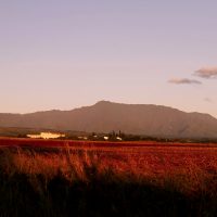 Mt. Waialeale