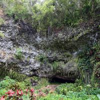 Fern Grotto