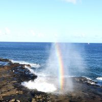 Spouting Horn