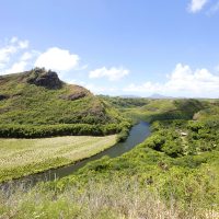 Wailua River