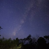 Star Gazing